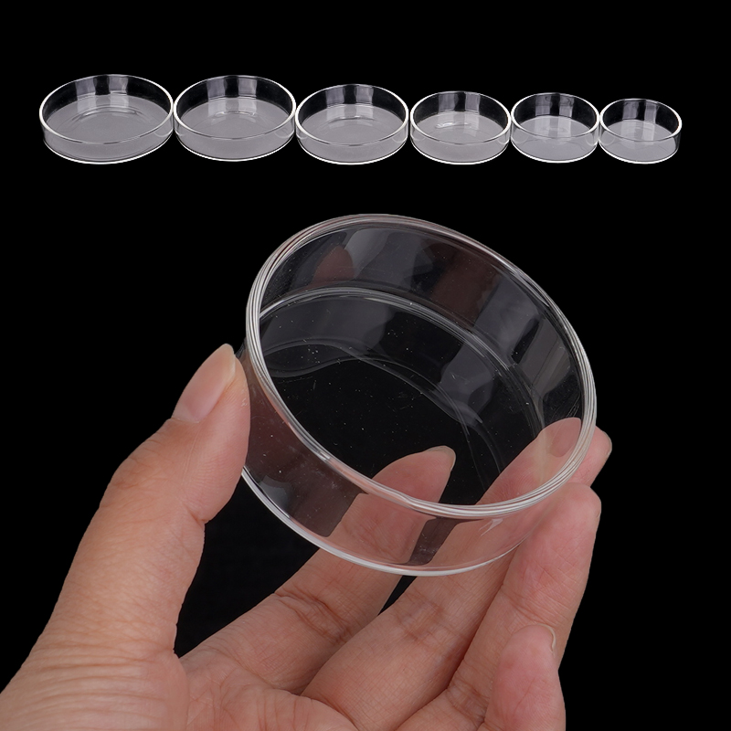 Karides besleme kabı Yüksek Şe - Aquarium Fish In Bowl incelemesi ve fiyatı