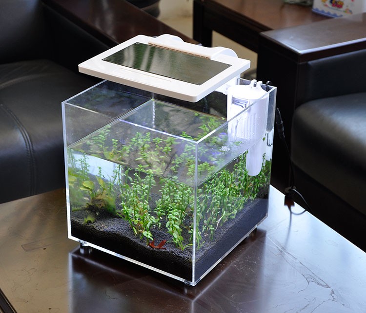 Mini Akrilik (25*25*25cm) Aydı - Aquarium Fish For Sale incelemesi ve fiyatı