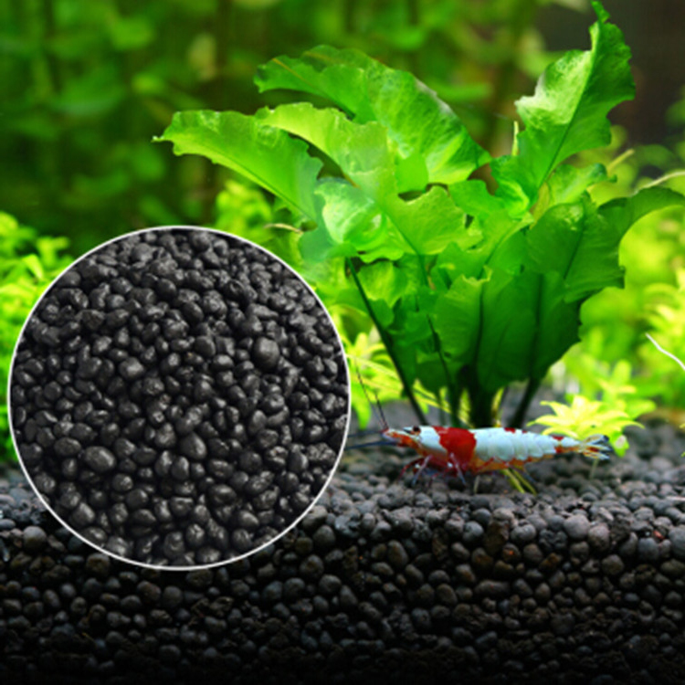 Akvaryum bitki tohumları topra - Aquarium Fish House incelemesi ve fiyatı