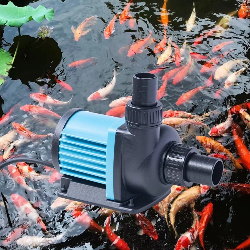 DC 24V Çeşme Güneş Enerjili Fı - Aquarium Fish For Sale incelemesi ve fiyatı