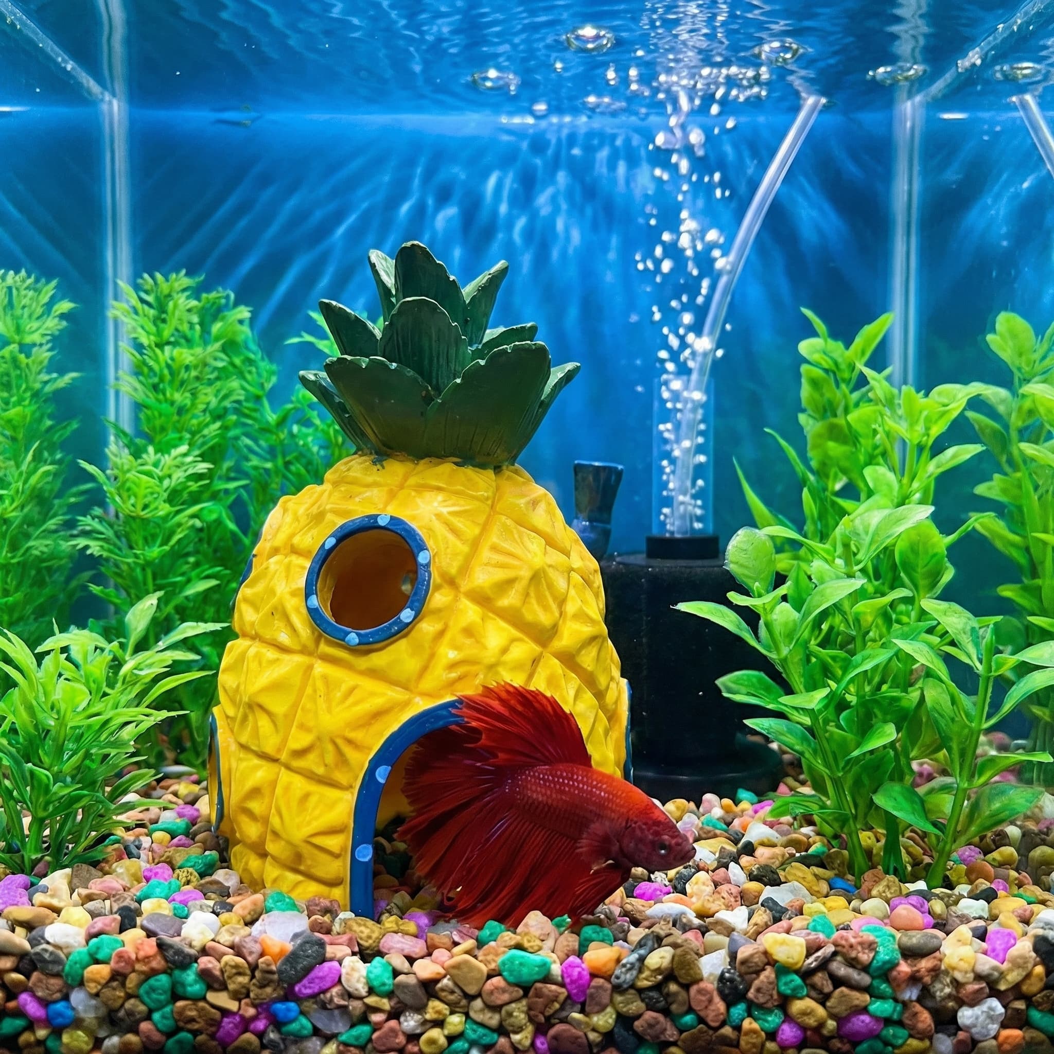 Ananas Evi Akvaryum Dekoru, Be - Aquarium Fish Hiding Places incelemesi ve fiyatı