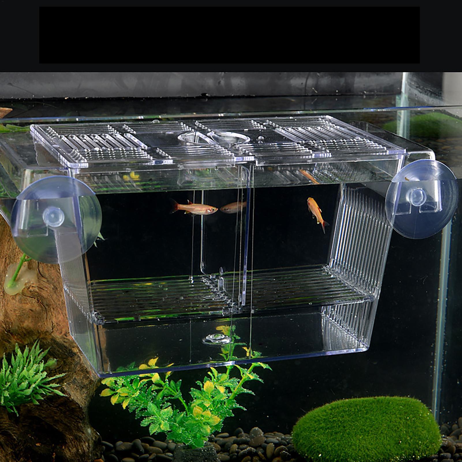Balık Tankı için Yetiştirici K - Aquarium Fish In Bowl incelemesi ve fiyatı