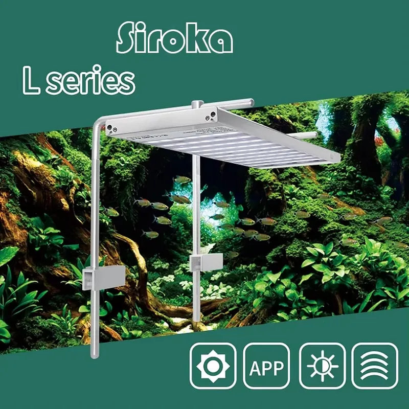 Sıcak Fırsat Gümüş 55W-110W Kı - Aquarium Fish For Sale incelemesi ve fiyatı