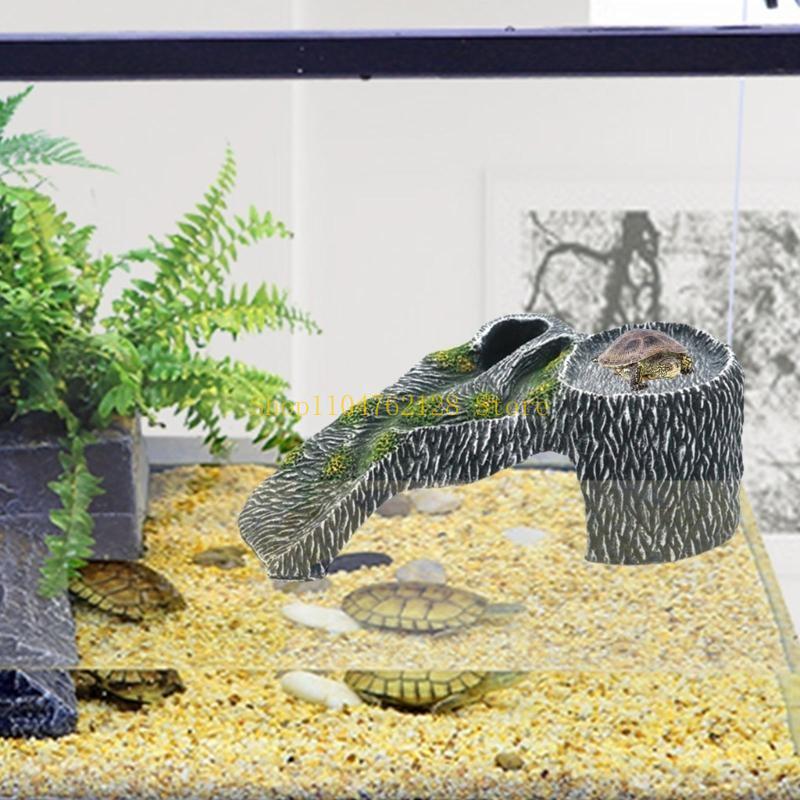 Teraryumlar Keyif Platformu Ba - Aquarium Fish For Sale incelemesi ve fiyatı