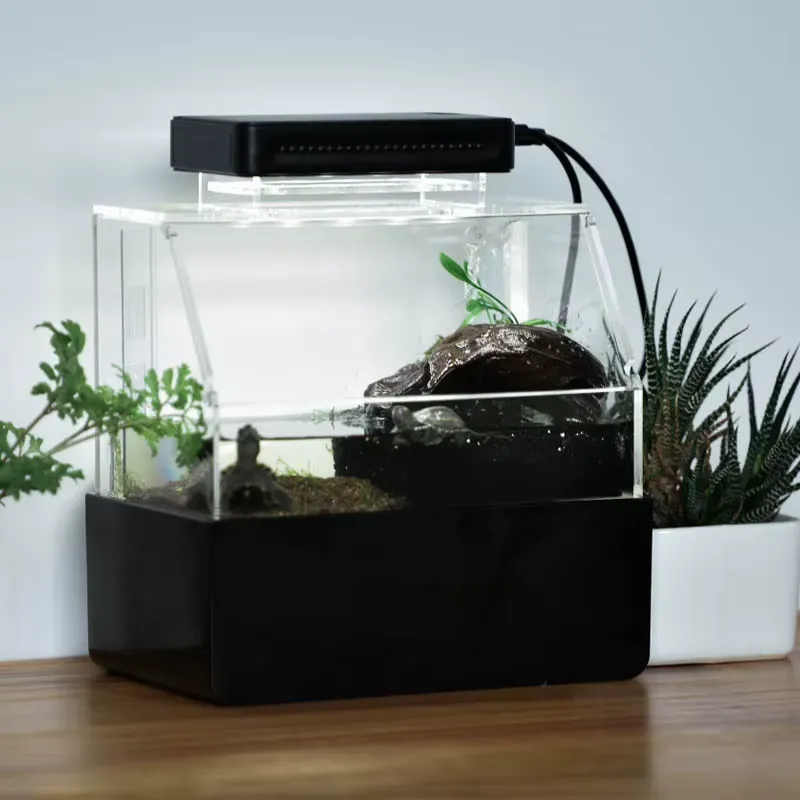 Relaxlines Özel Tasarım Masaüs - Aquarium Fish For Sale incelemesi ve fiyatı