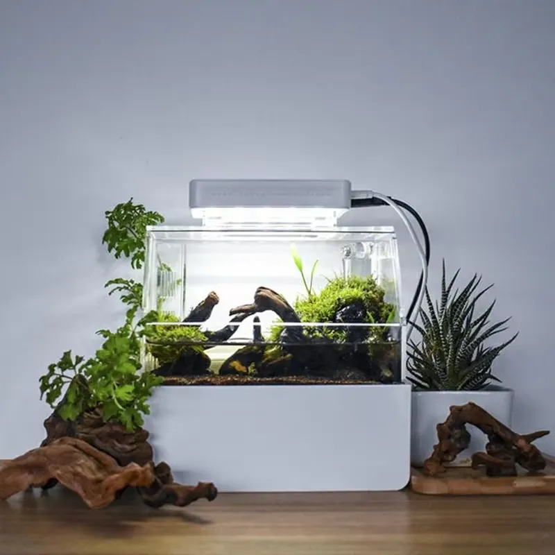 Relaxlines Özel Tasarım Masaüs - Aquarium Fish For Sale incelemesi ve fiyatı