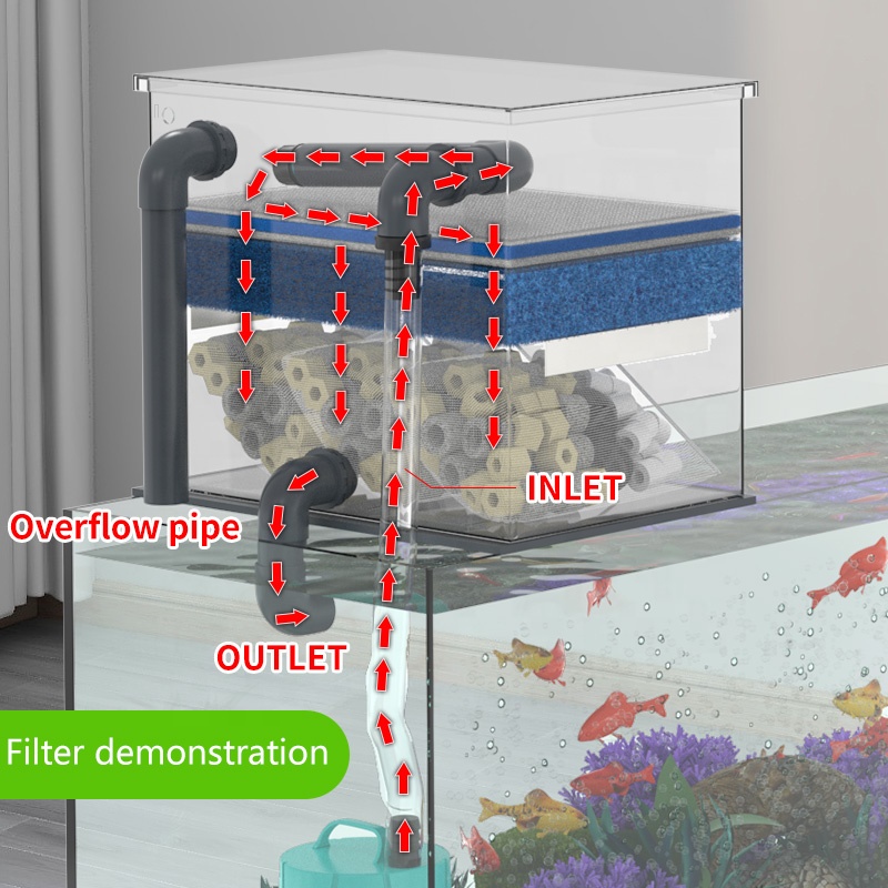 Fabrika Doğrudan Satış Akvaryu - Aquarium Fish For Sale incelemesi ve fiyatı