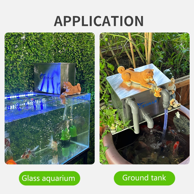 Fabrika Doğrudan Satış Akvaryu - Aquarium Fish For Sale incelemesi ve fiyatı