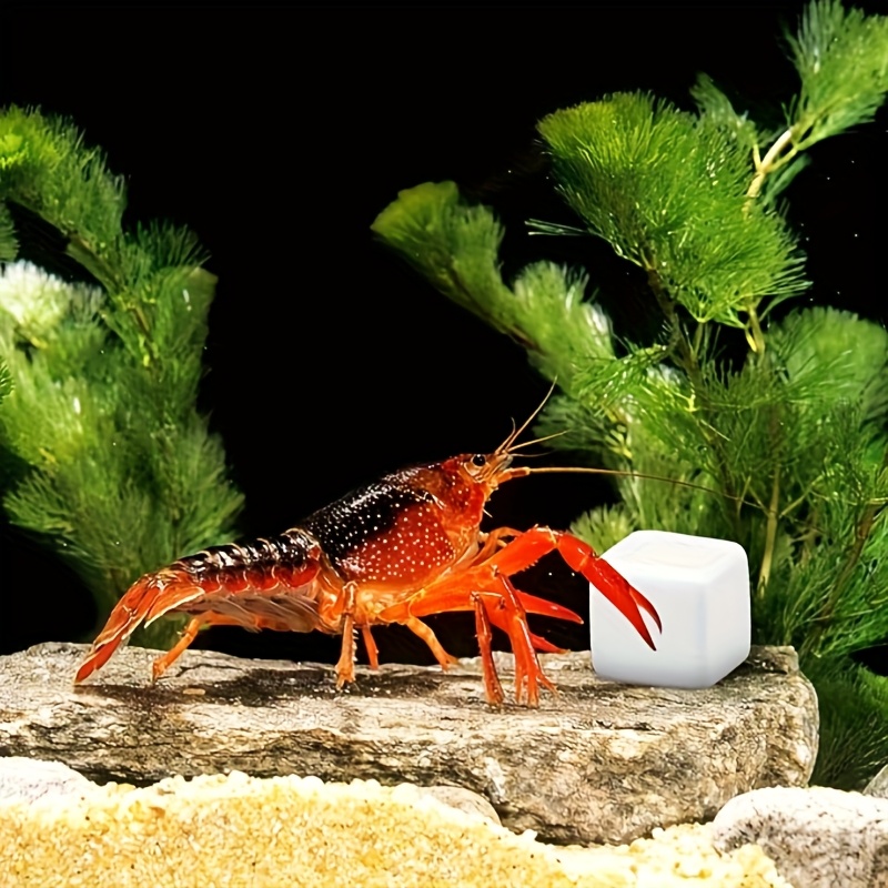 6 Adet Balık Tankı Kalsiyum Bl - Aquarium Fish Hiding Places incelemesi ve fiyatı