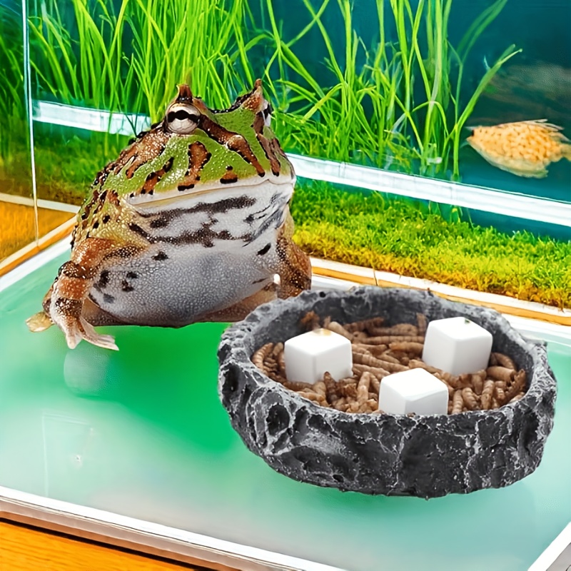 6 Adet Balık Tankı Kalsiyum Bl - Aquarium Fish Hiding Places incelemesi ve fiyatı