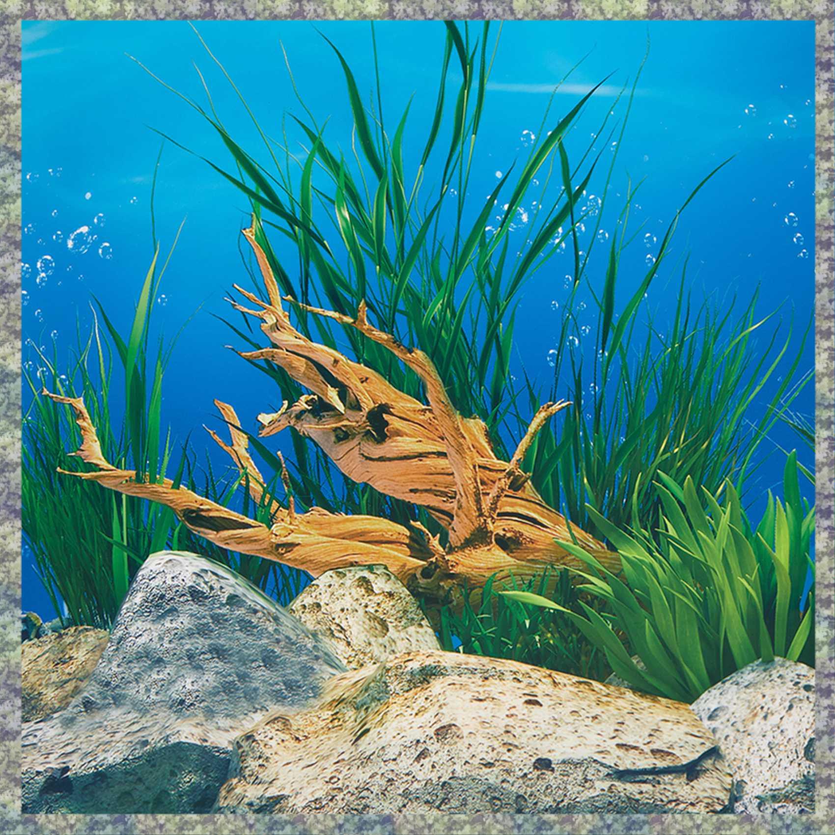 WON Akvaryum Arka Plan Kağıdı  - Aquarium Fish Wallpaper Hd incelemesi ve fiyatı
